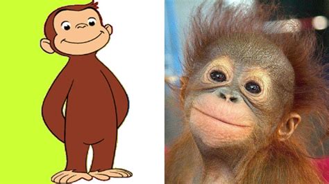 curious george you tube|curious george in real life.